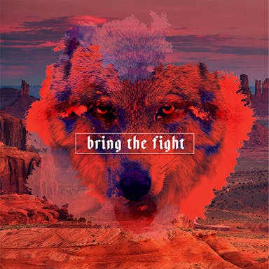 Bring The Fight album artwork