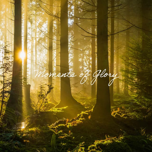 Moments Of Glory